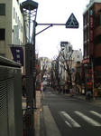 20090228132806.jpg