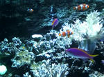 20090228163730.jpg