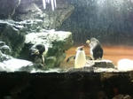 20090228172727.jpg
