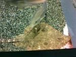 20090228173001.jpg
