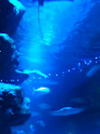 20090228173112.jpg