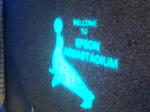 20090228175743.jpg