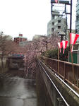 20090328120059.jpg