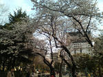 20090403162115.jpg