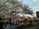 20090403162220.jpg