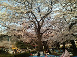 20090403162228.jpg