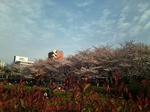 20090403162540.jpg