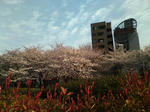 20090403162550.jpg