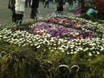 20090403163149.jpg