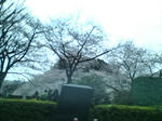 20090404174310.jpg