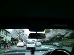 20090404174419.jpg
