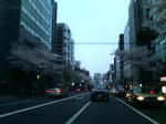 20090404174633.jpg