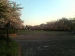 20090409172751.jpg