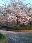 20090409172816.jpg