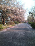 20090409172635.jpg