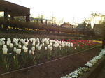 20090409172701.jpg