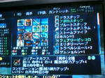 20090421225041.jpg