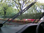 20090425131054.jpg