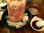 20090505161416.jpg