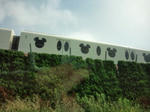 20090620090538.jpg