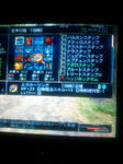20090622032819.jpg