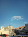 20090726174723.jpg