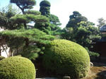 20090920142415.jpg