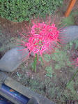 20090924143259.jpg