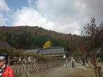 20091028114918.jpg