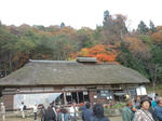 20091028115304.jpg