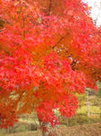 20091028123043.jpg