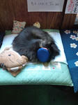 20091028130632.jpg
