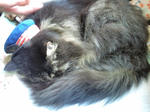 20091028130710.jpg