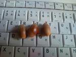 20091029162115.jpg