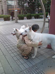 20091107154321.jpg