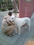 20091107154355.jpg