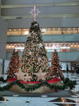 20091119123204.jpg