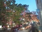 20091125164306.jpg