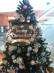 20091201141931.jpg