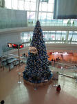 20091201142416.jpg