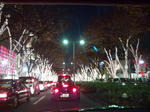 20091201170959.jpg