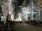 20091223183757.jpg