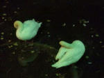 20091223190944.jpg