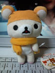 20100113183726.jpg