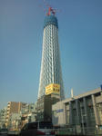 20100131105901.jpg