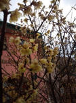 20100228141026.jpg