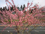 20100228142433.jpg