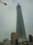 20100306112724.jpg