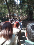 20100311141750.jpg