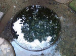 e673fa10.jpg